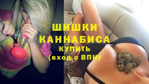 дурь Осташков