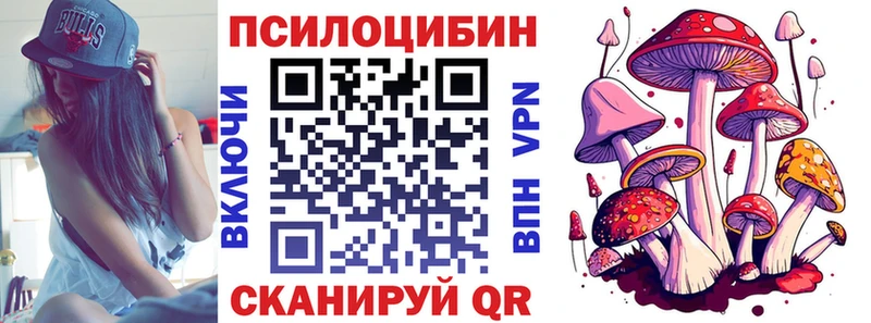 mega ссылка  купить наркотик  Кондопога  Псилоцибиновые грибы ЛСД 